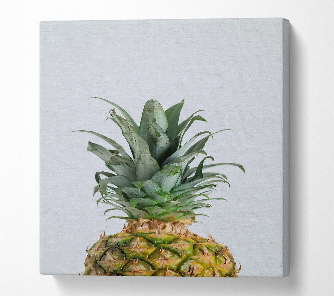  A Canvas Print of Green Pineapple Crown Canvas Print