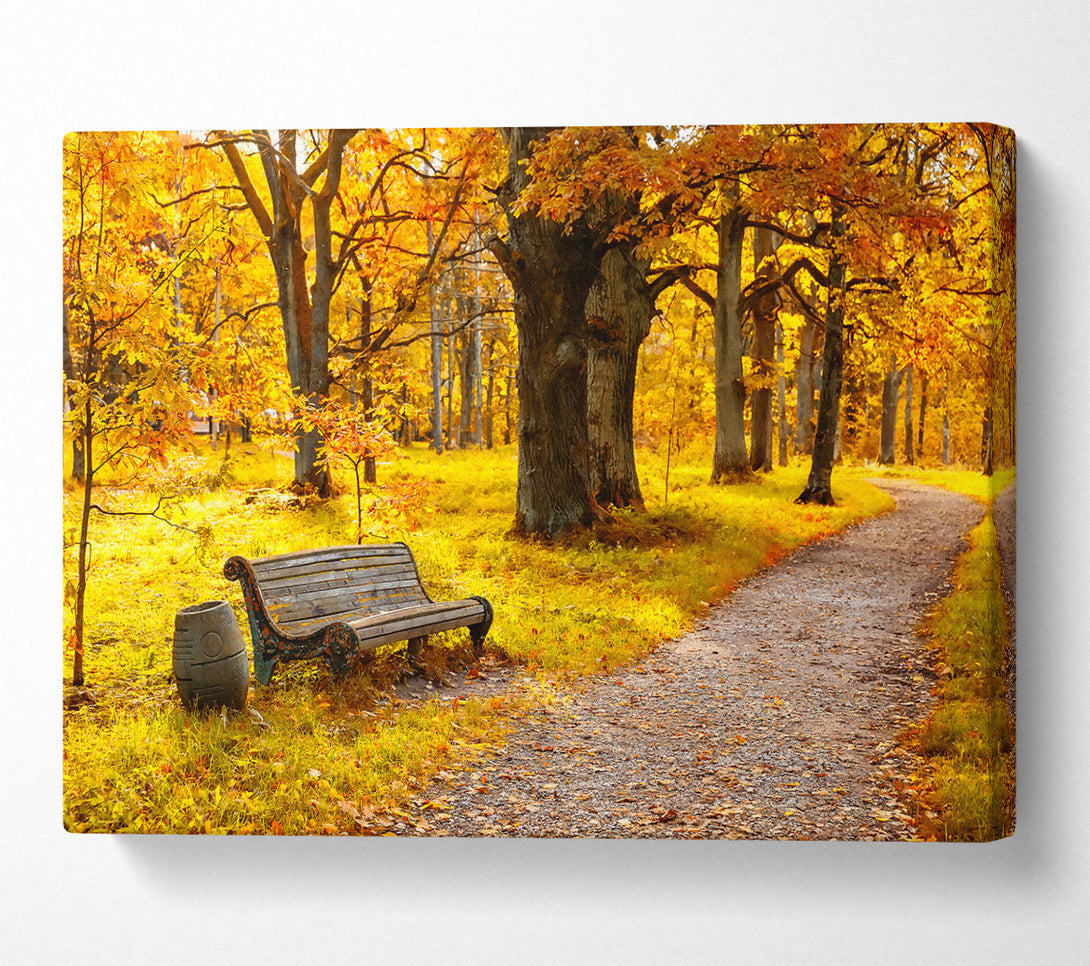  A Canvas Print of Golden Autumn Path Canvas Print