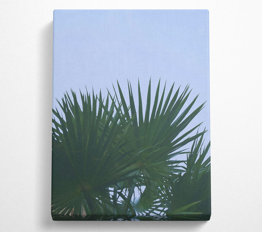  A Canvas Print of Emerald Palm Fronds Canvas Art