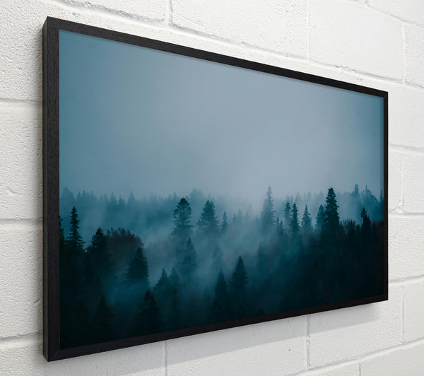 Azure Forest Mist
