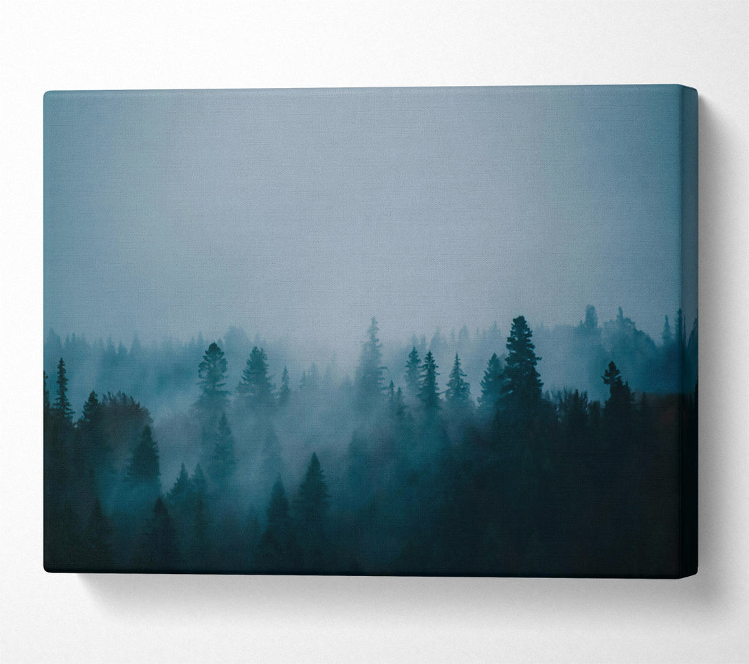  A Canvas Print of Azure Forest Mist Canvas Print