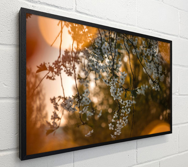 Golden Bloom Sunset