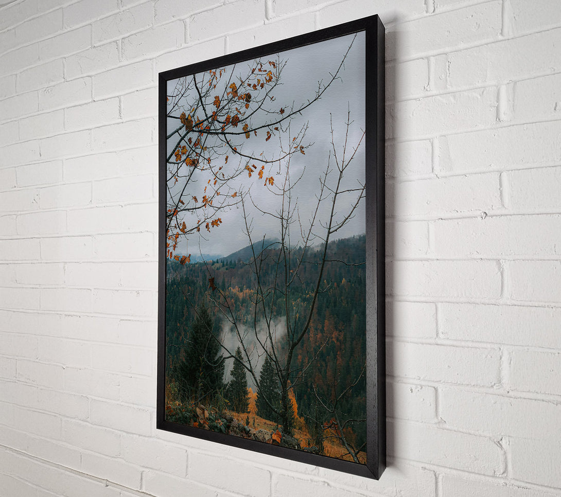  A Canvas Print of Forest Green Foggy Mist Canvas Print