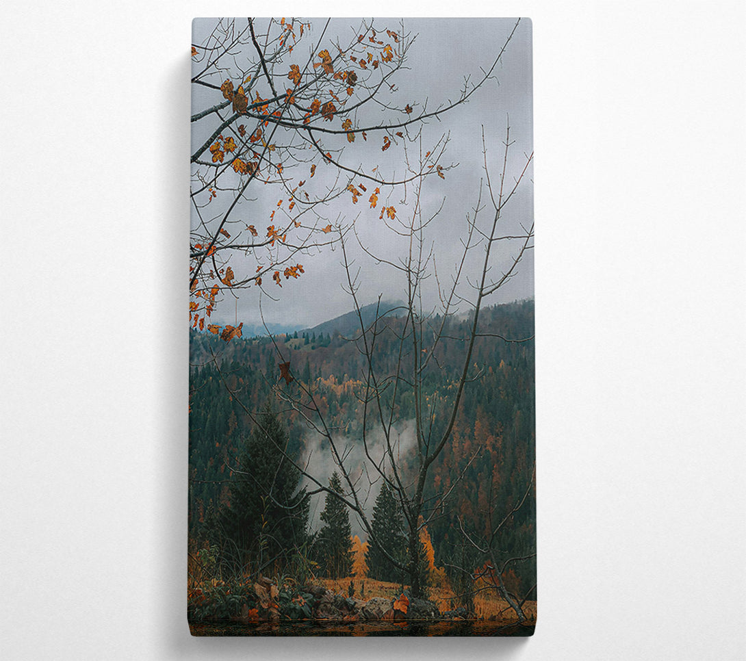  A Canvas Print of Forest Green Foggy Mist Canvas Print