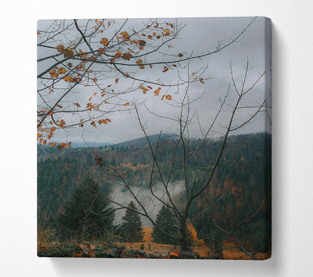  A Canvas Print of Forest Green Foggy Mist Canvas Print