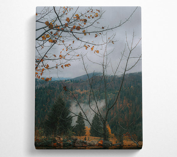  A Canvas Print of Forest Green Foggy Mist Canvas Print