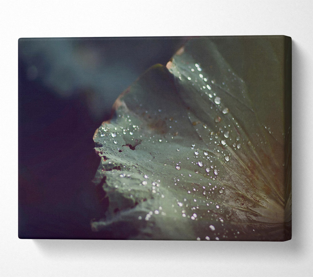  A Canvas Print of Emerald Dew Drops Canvas Wall Art