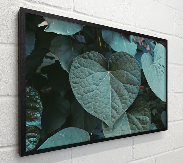 Emerald Heart Leaf