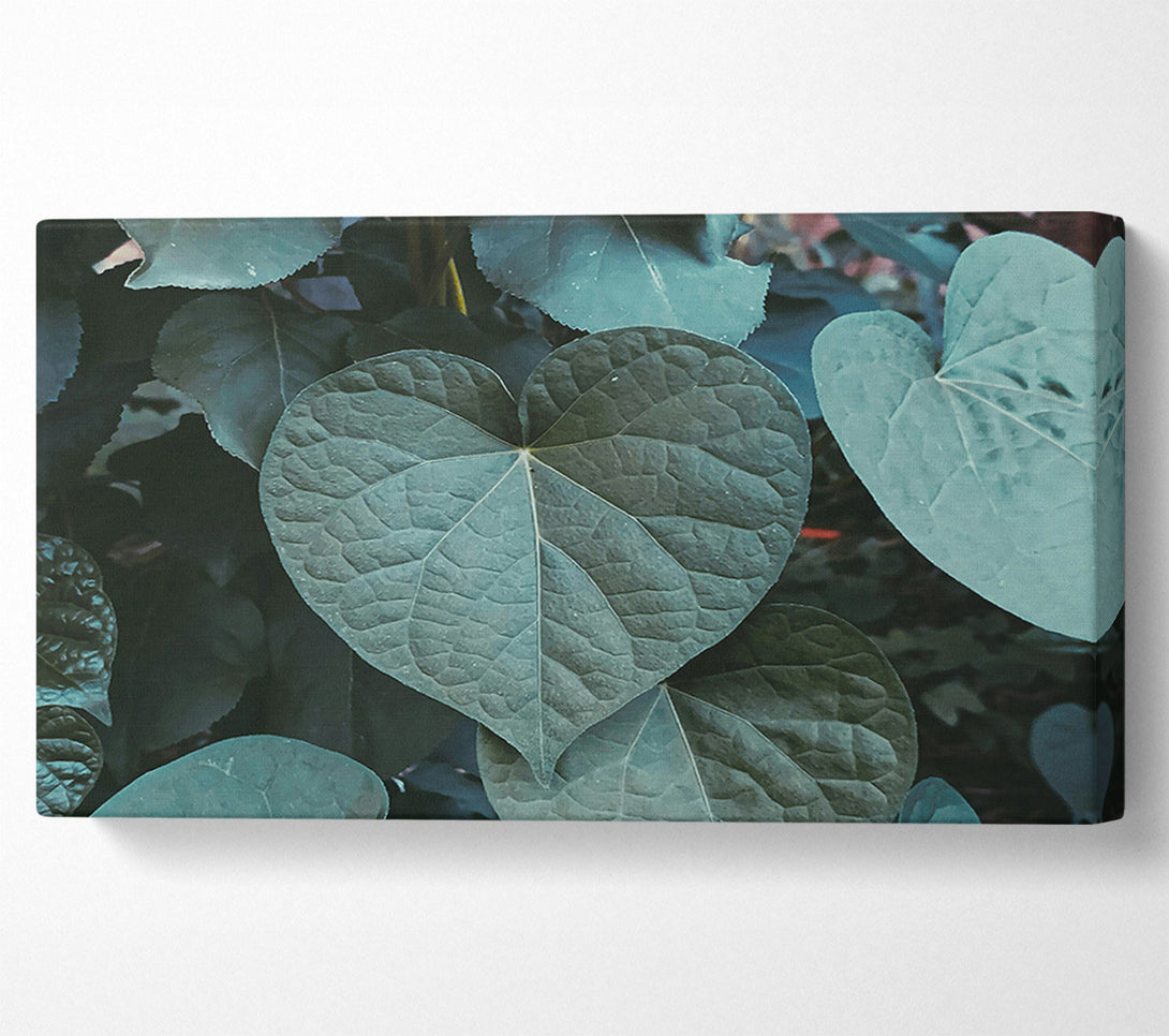  A Canvas Print of Emerald Heart Leaf Canvas Art