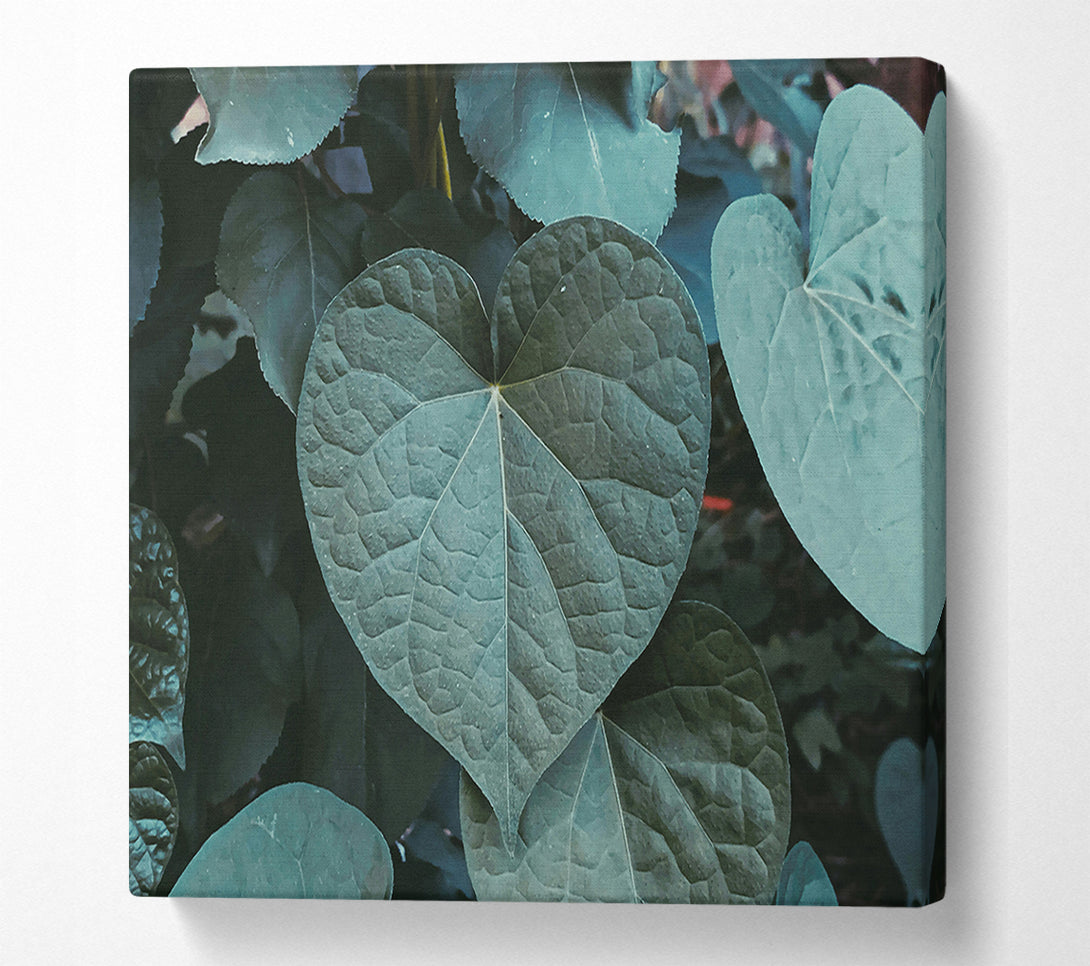  A Canvas Print of Emerald Heart Leaf Canvas Art