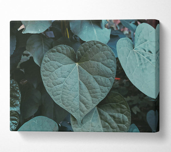  A Canvas Print of Emerald Heart Leaf Canvas Art