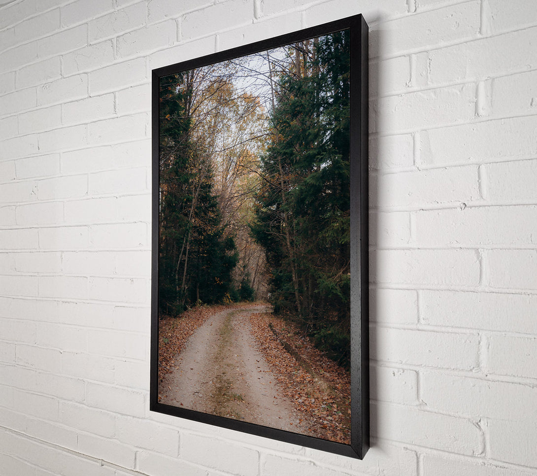 A Canvas Print of Autumn Forest Path Brown Canvas Wall Art