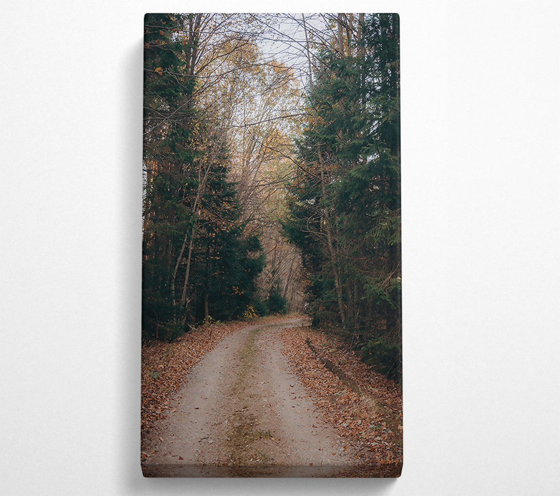  A Canvas Print of Autumn Forest Path Brown Canvas Wall Art