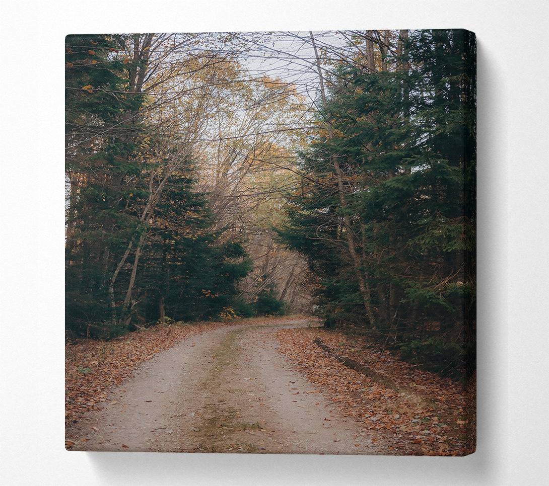  A Canvas Print of Autumn Forest Path Brown Canvas Wall Art
