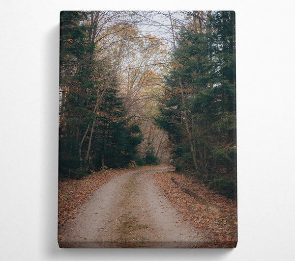  A Canvas Print of Autumn Forest Path Brown Canvas Wall Art