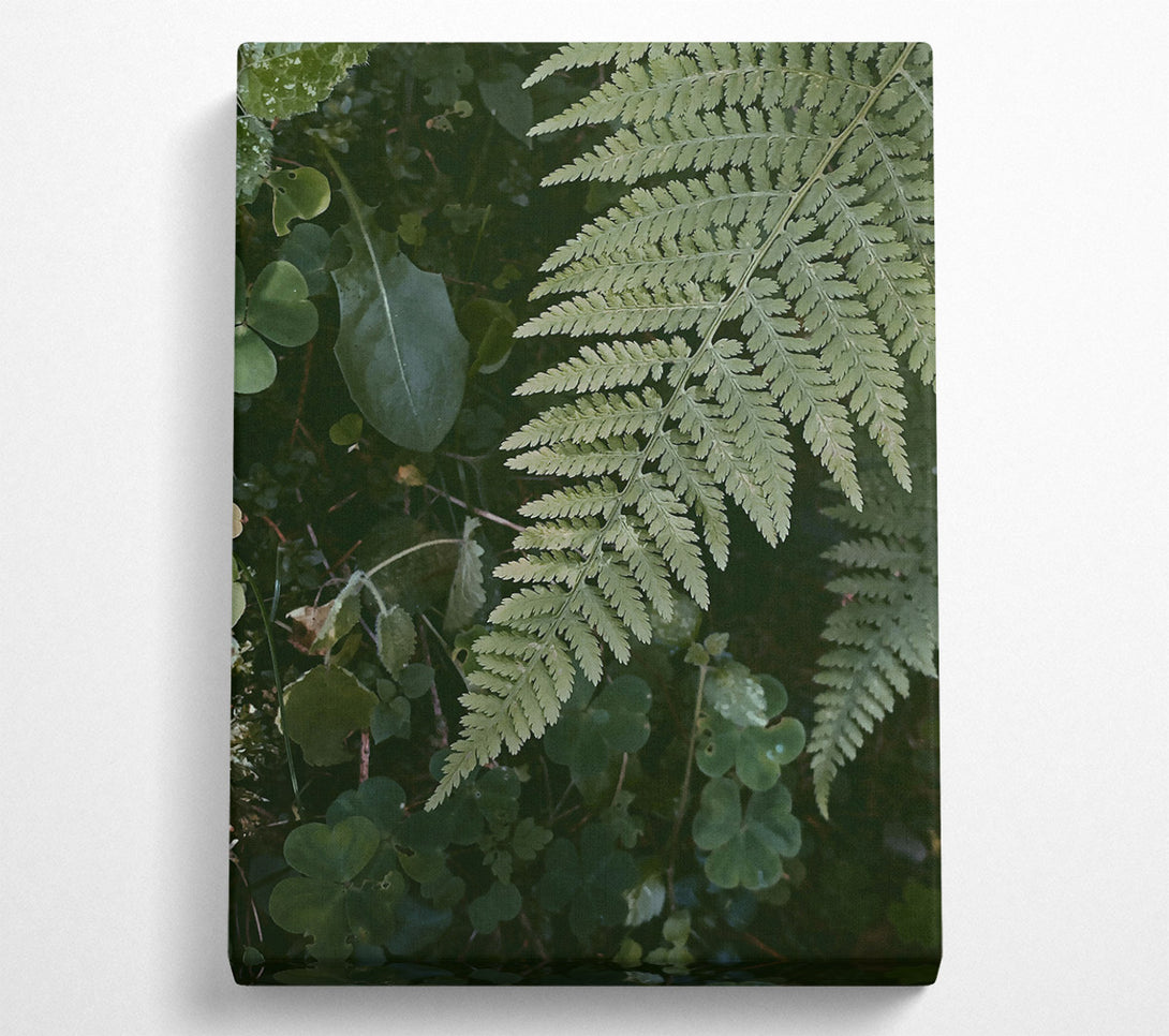  A Canvas Print of Emerald Fern Fronds Canvas Art
