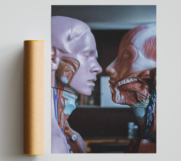 The Red Anatomy Poster