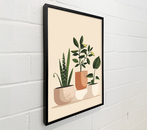 Peach Potted Plants