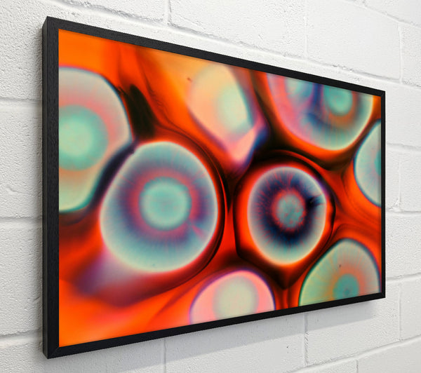 Orange And Blue Dreams