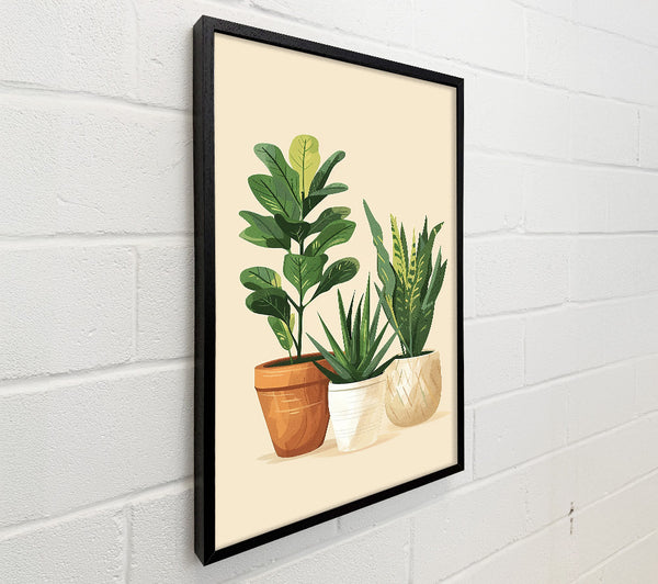 Green Potted Companionship