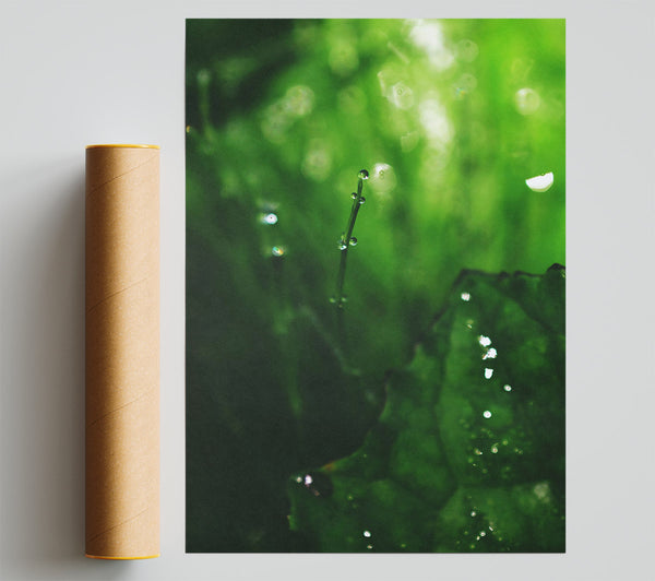 Emerald Dewdrop Essence Poster