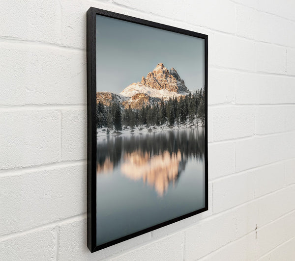 Pale Reflection In The Pines
