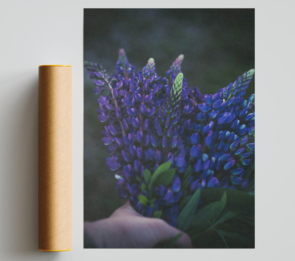 Purple Bloom Embrace Giclee Print
