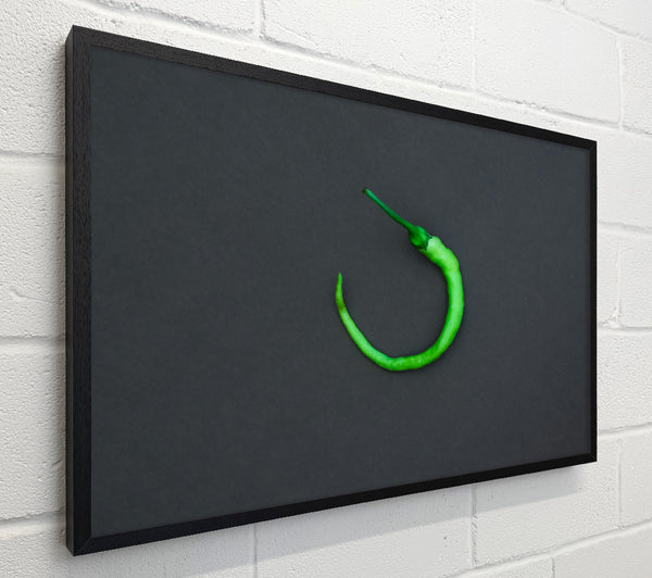 Green Pepper Circle