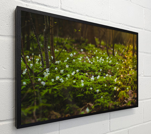 Green Forest Bloom