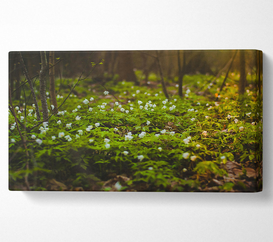  A Canvas Print of Green Forest Bloom Canvas Wall Art