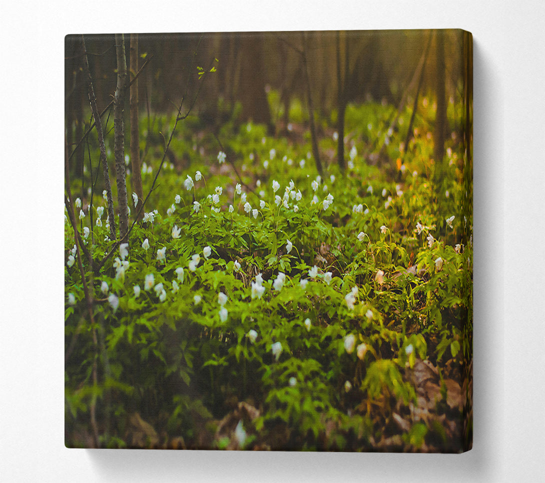  A Canvas Print of Green Forest Bloom Canvas Wall Art