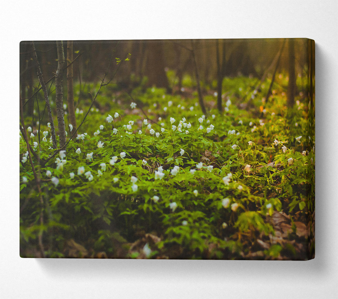  A Canvas Print of Green Forest Bloom Canvas Wall Art