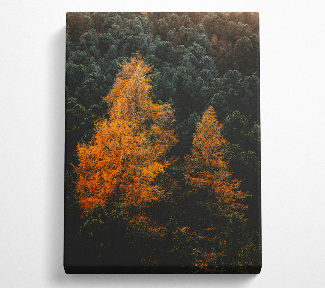  A Canvas Print of Loading... Canvas Print