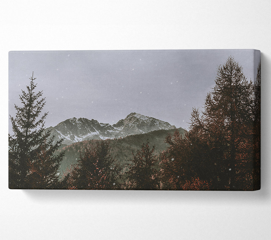  A Canvas Print of Grey Snow Peak Canvas Print