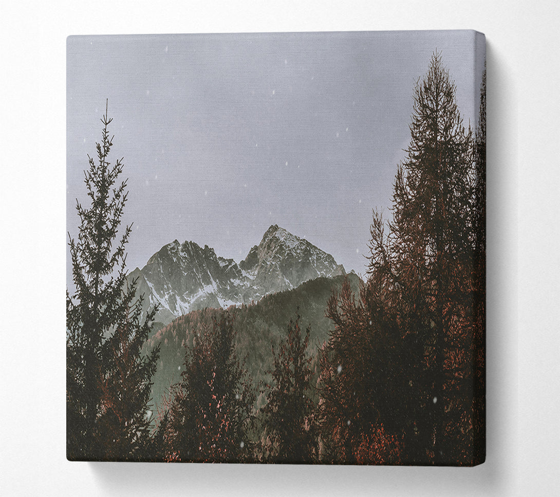  A Canvas Print of Grey Snow Peak Canvas Print