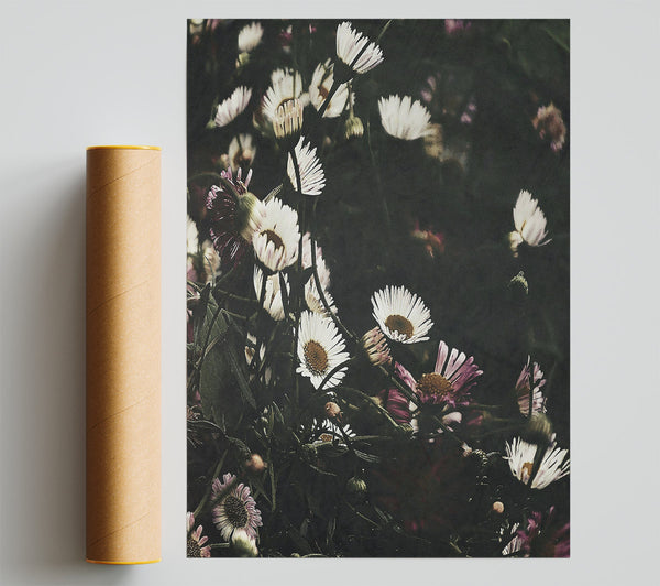 Dark Green Daisies Poster