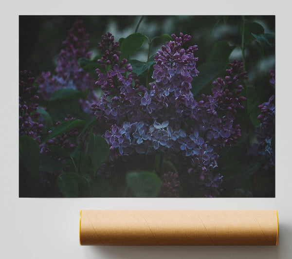 Purple Twilight Blooms Giclee Print