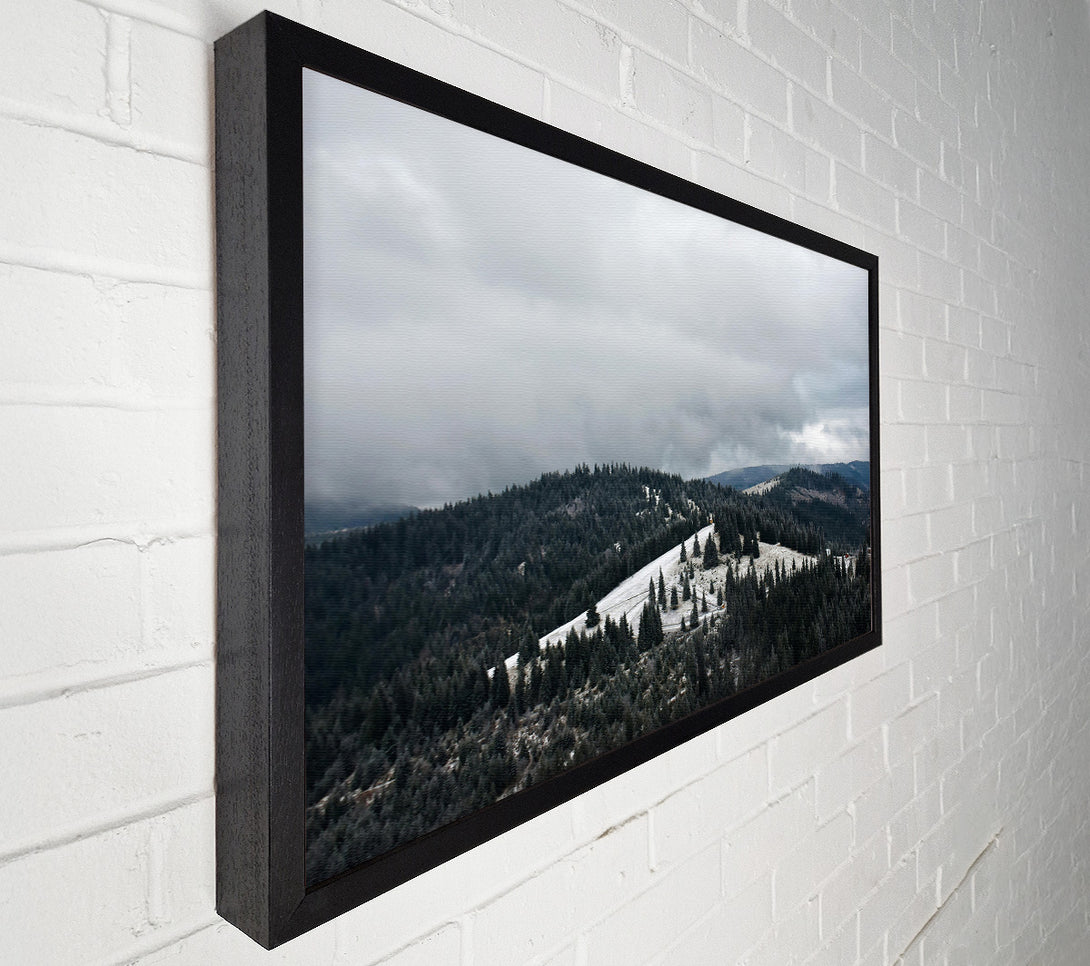  A Canvas Print of Grey Sky Over Pines Canvas Print
