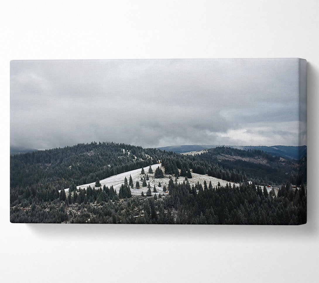  A Canvas Print of Grey Sky Over Pines Canvas Print