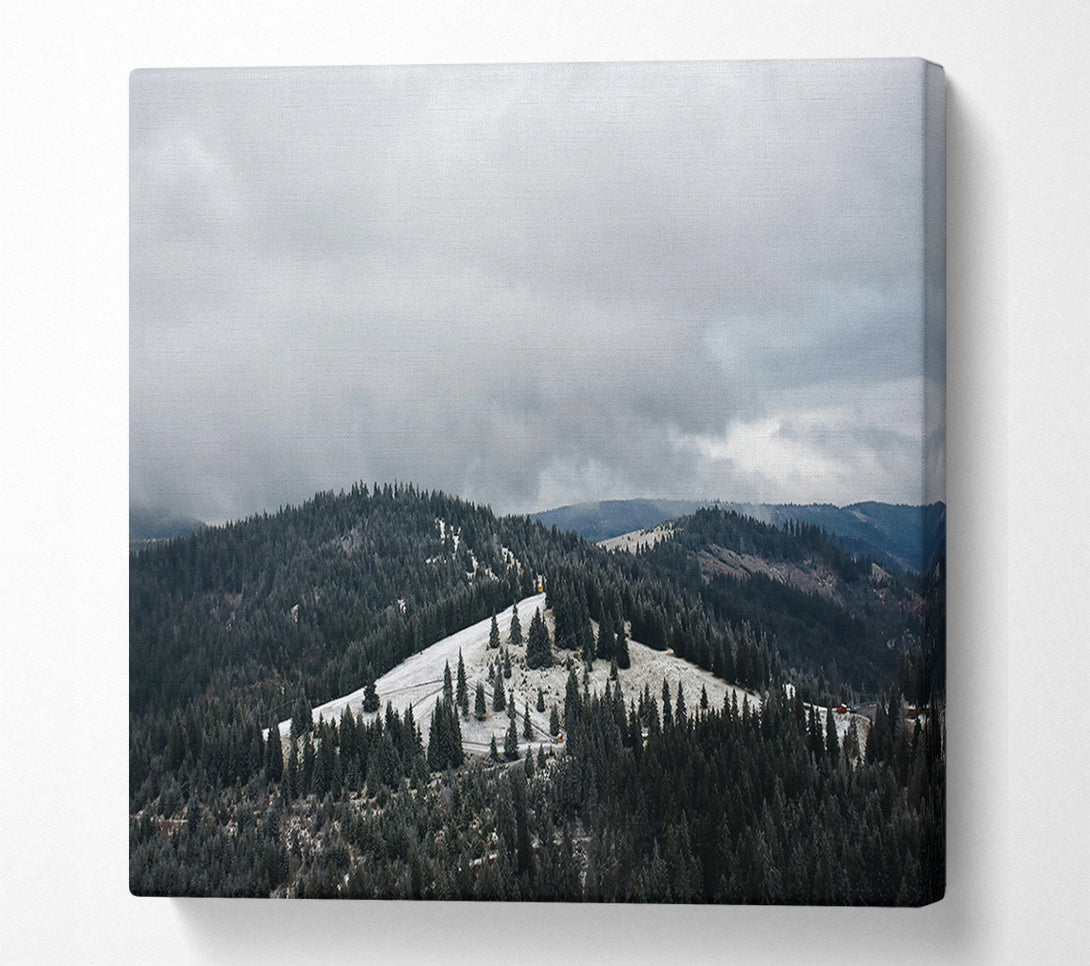  A Canvas Print of Grey Sky Over Pines Canvas Print