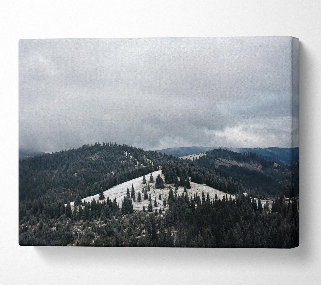  A Canvas Print of Grey Sky Over Pines Canvas Print