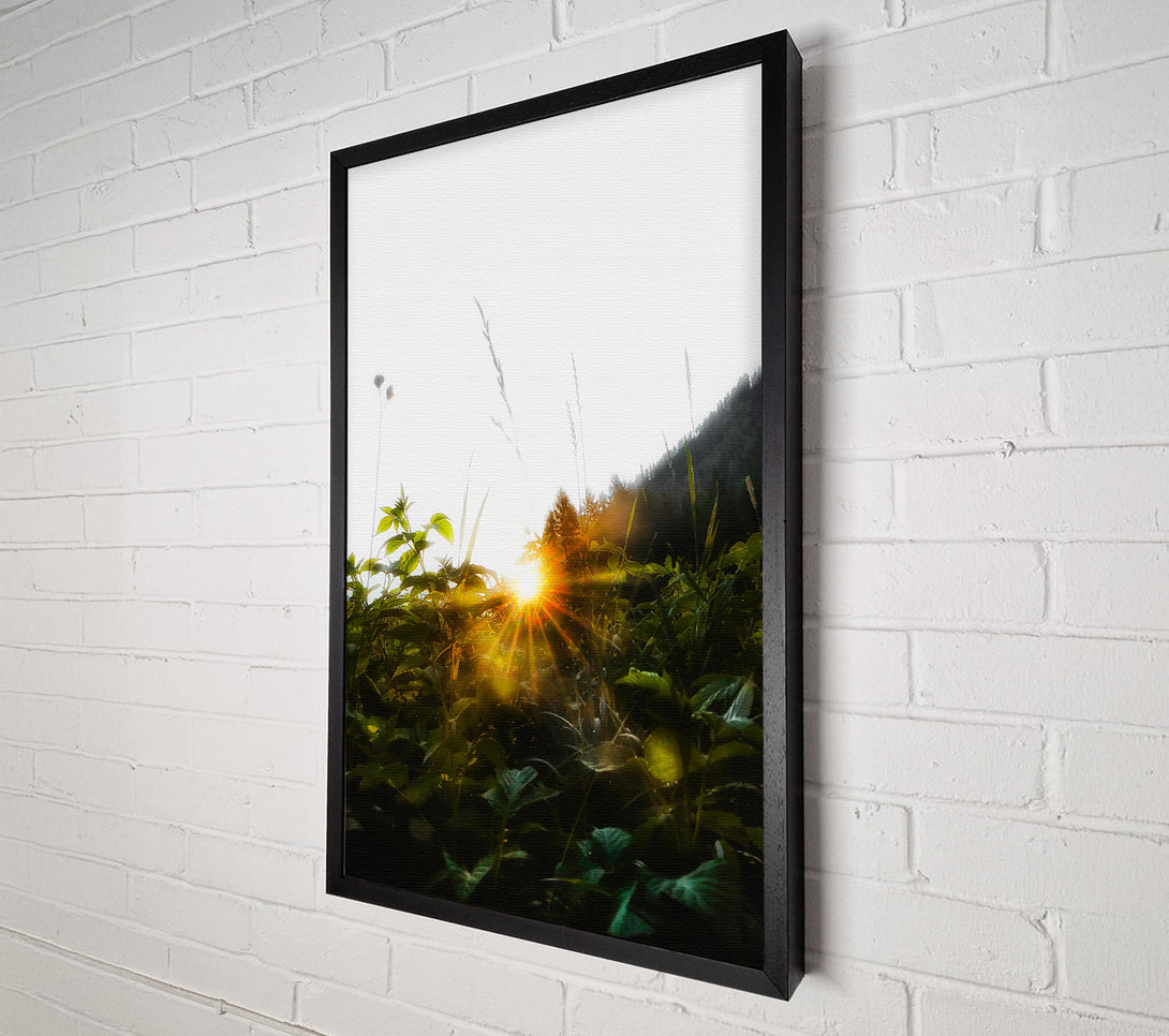 A Canvas Print of Golden Sunrise Through Foliage Canvas Wall Art