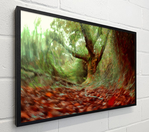 Red Forest Whirlwind