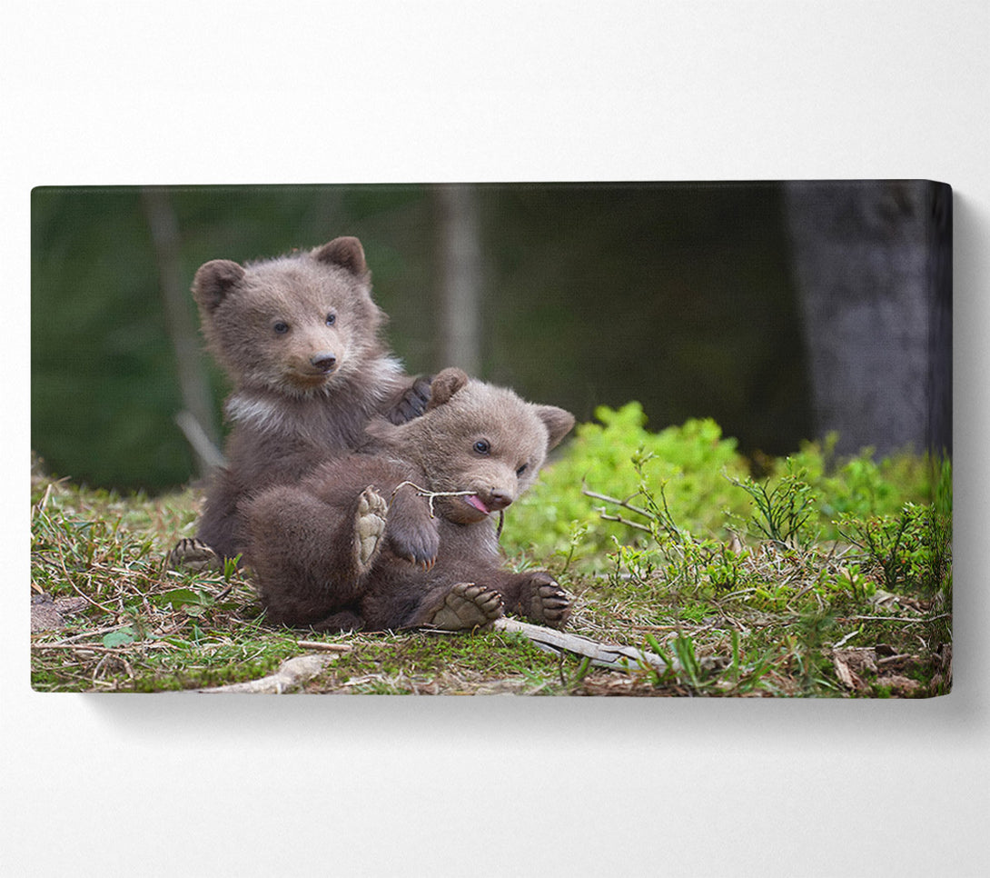  A Canvas Print of Bear Cubs Playing Canvas Wall Art