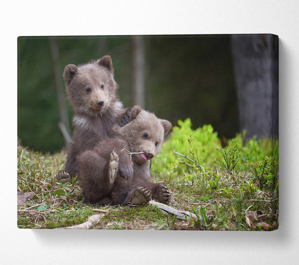  A Canvas Print of Bear Cubs Playing Canvas Wall Art