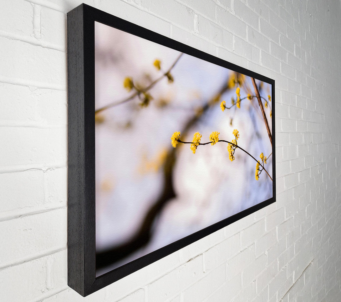  A Canvas Print of Golden Branch Bloom Canvas Art