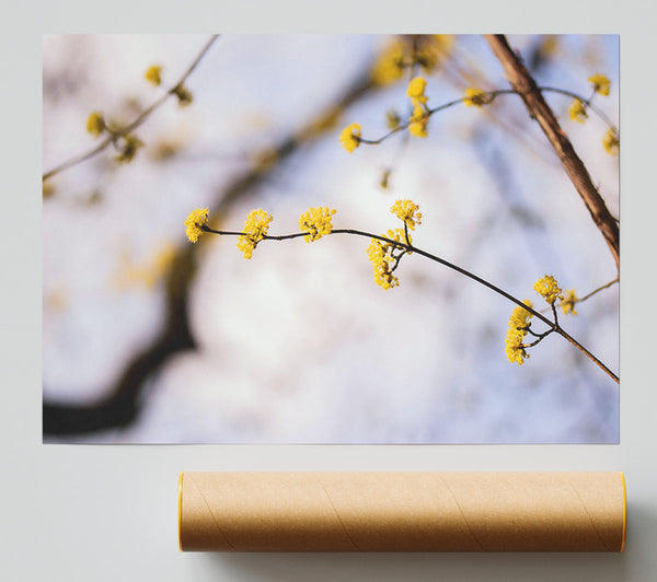 Golden Branch Bloom Giclee Print