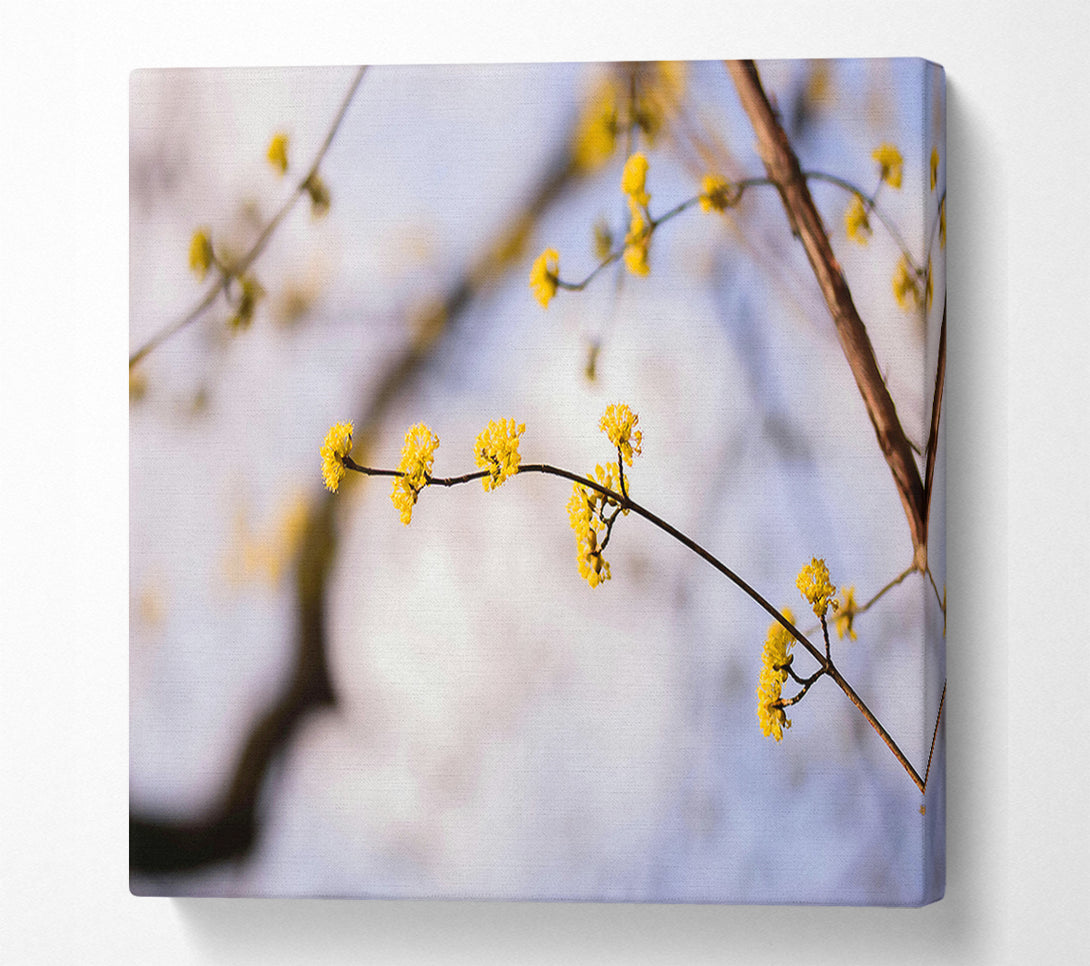  A Canvas Print of Golden Branch Bloom Canvas Art