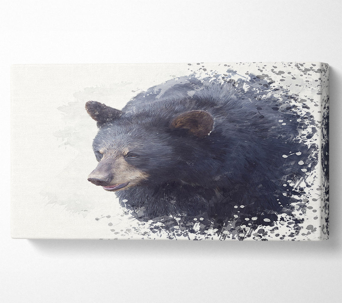  A Canvas Print of Bear Fuzz Canvas Print