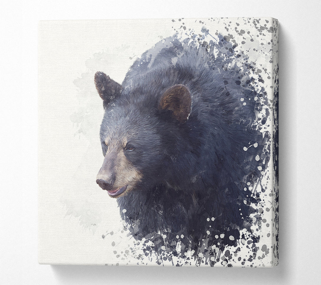  A Canvas Print of Bear Fuzz Canvas Print